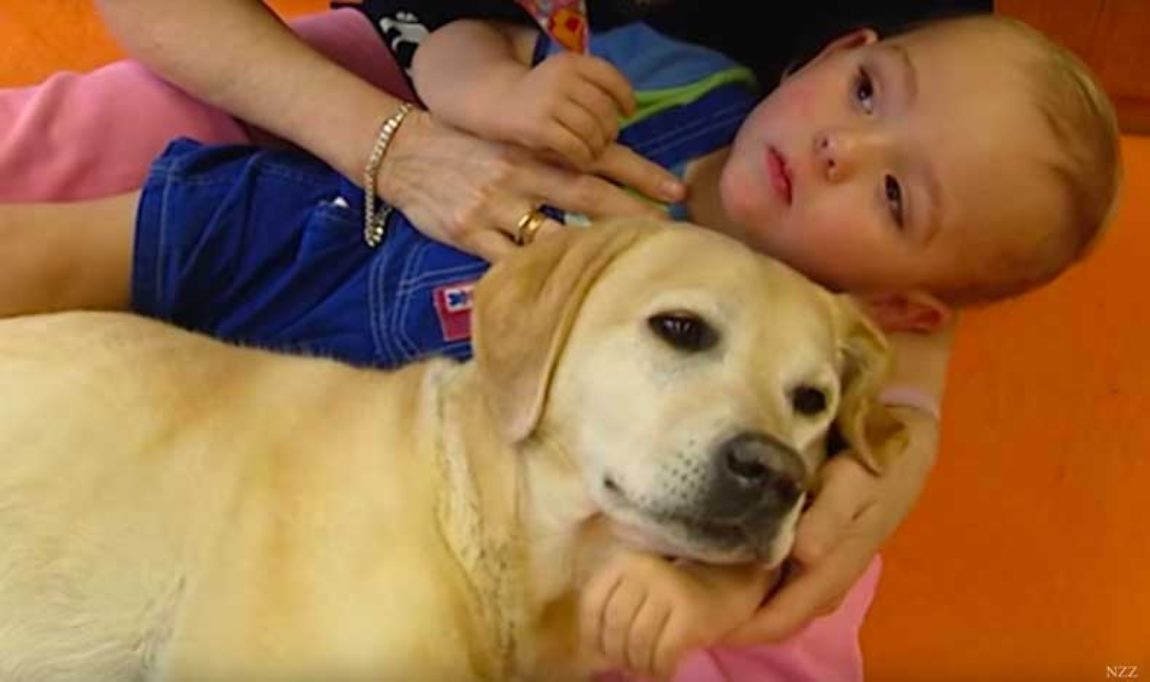 13_Tiere-helfen-heilen