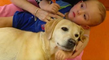 13_Tiere-helfen-heilen 13_Tiere-helfen-heilen