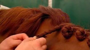 18_Frauen-und-Pferd 18_Frauen-und-Pferd