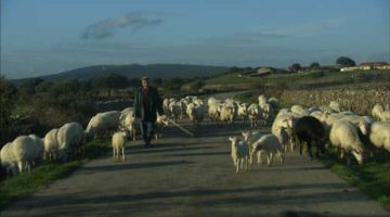 22_Sardinien 22_Sardinien