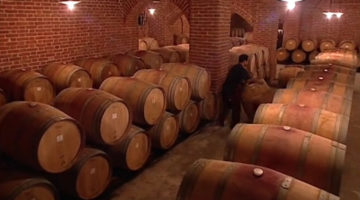 wein_tradition_und_technik wein_tradition_und_technik