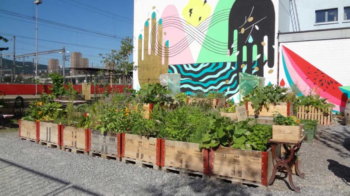 5_Urban-Farming 5_Urban-Farming