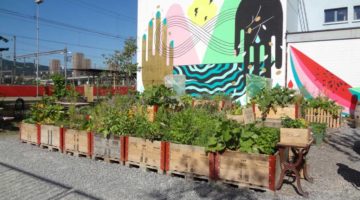 5_Urban-Farming 5_Urban-Farming
