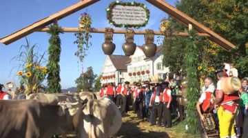 71_Alphorn 71_Alphorn