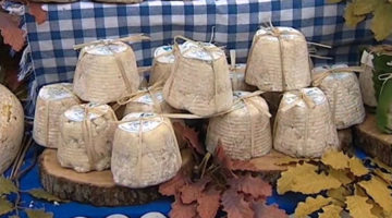 slow_food slow_food